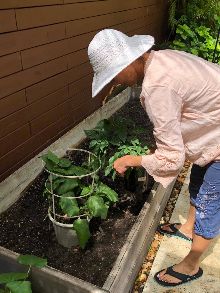 summer-gardening.-June-14-e1560542208731.jpg